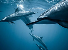 伊万正式上任：自豪成中国队主帅 首要目标18强赛